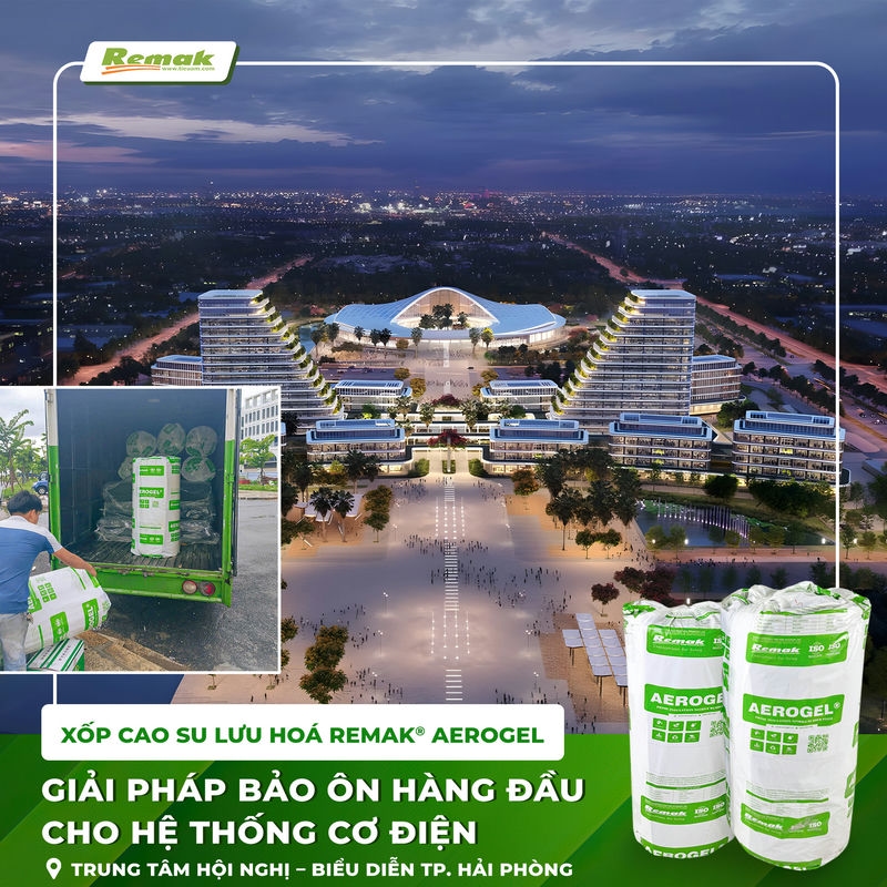 cao-su-luu-hoa-bao-on-he-thong-cơ-dien-trung-tam-bieu-dien-hai-phong (1)